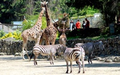 ZOO a zámecký park v Lešné (45 km)